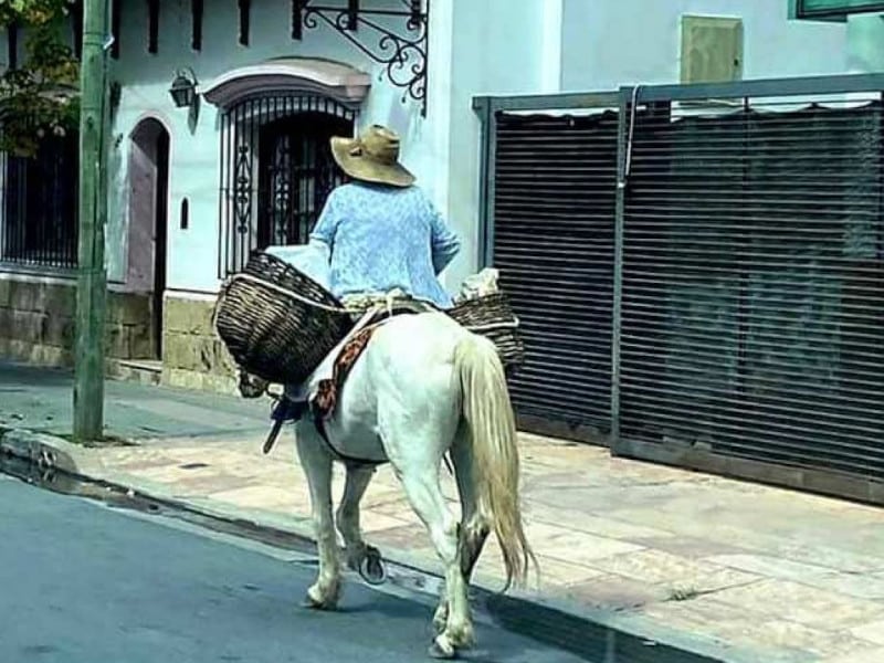 Venta de burritos mexicanos